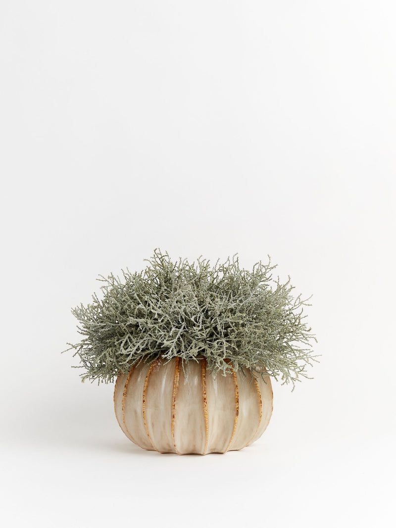 Sixty3 Styled Natural Lydia Pot Small Ceramic Planter (British brand)