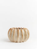 Sixty3 Styled Natural Lydia Pot Small Ceramic Planter (British brand)