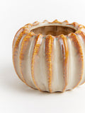 Sixty3 Styled Natural Lydia Pot Small Ceramic Planter (British brand)