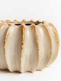Sixty3 Styled Natural Lydia Pot Small Ceramic Planter (British brand)