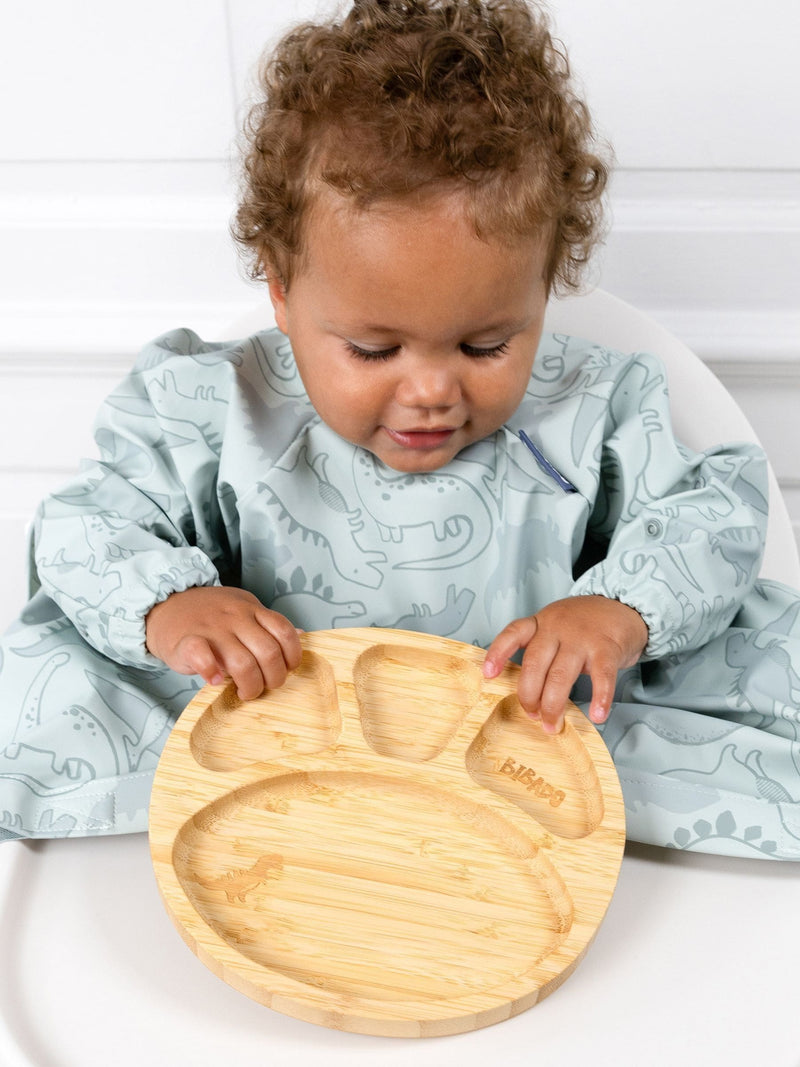 Bibado Mist Divider Plate Dino Roar - British product