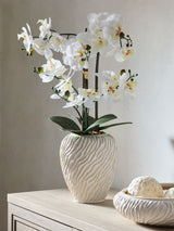 Next White Artificial Orchid in Fairford Vase Artificial Plant Arrangement 67cm Height- Buy online at McGrocer