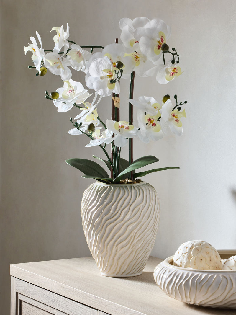 White artificial orchid in Fairford vase 67cm height (British brand)
