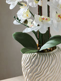 White artificial orchid in Fairford vase 67cm height (British brand)