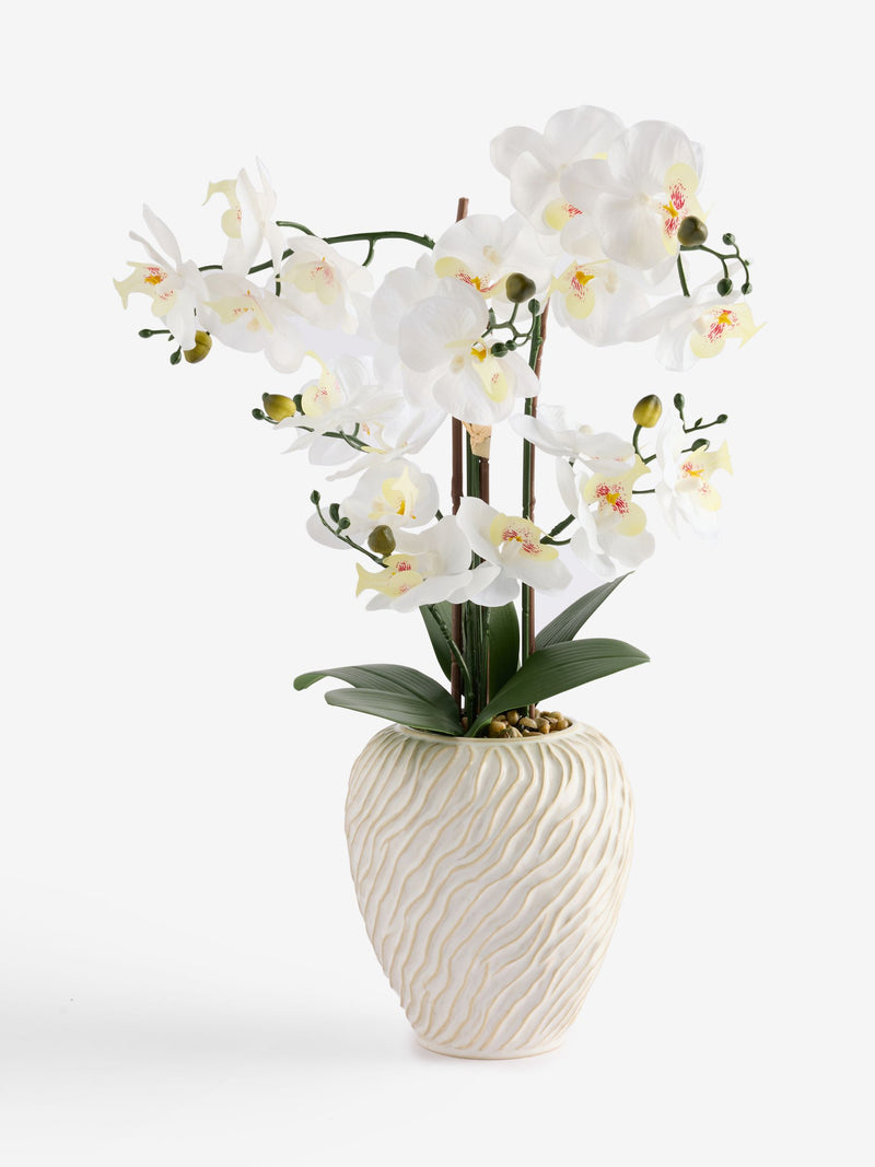 White artificial orchid in Fairford vase 67cm height (British brand)