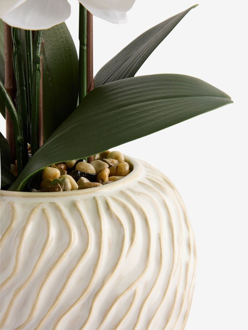 White artificial orchid in Fairford vase 67cm height (British brand)