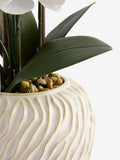 White artificial orchid in Fairford vase 67cm height (British brand)