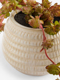 Purple artificial trailing succulent ceramic pot 12cm height, imported from the UK