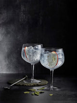Next Luigi Bormioli Grey Mixology Spanish Gin Glasses 4 Pack 800ml- Buy online at McGrocer
