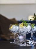 Luigi Bormioli grey mixology gin glasses 800ml x 4, imported from the UK