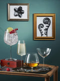 Luigi Bormioli Grey Optica Cognac Glasses Set of 6, UK version