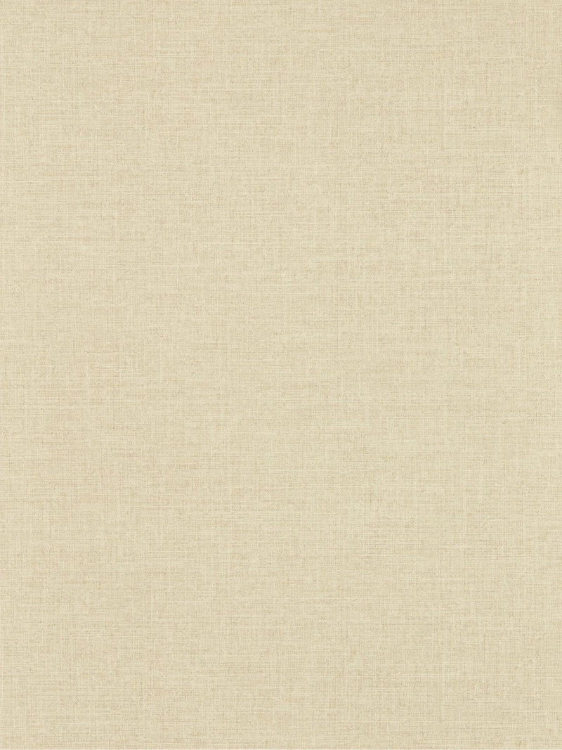 Clarke & Clarke putty wallpaper sample, imported from the UK