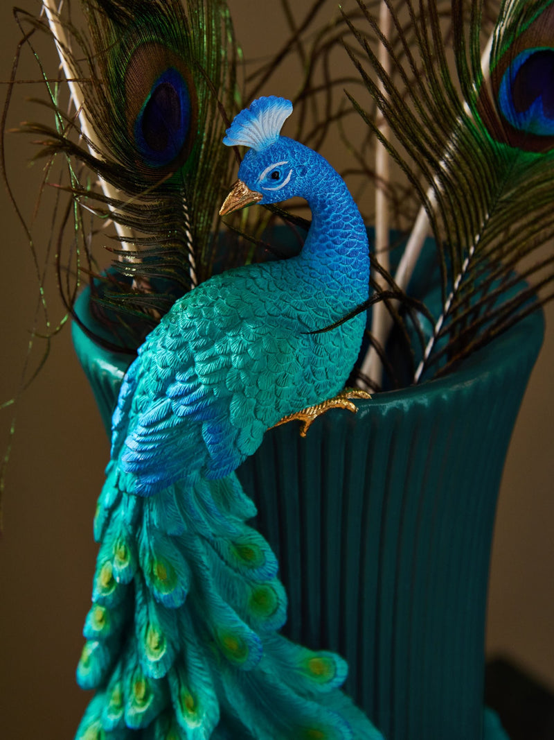 Benedict peacock vase 39.5cm, imported from the UK