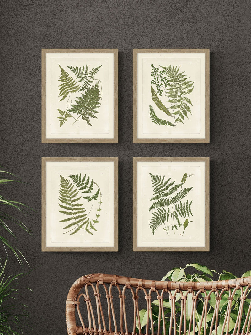 Artko set of four framed prints featuring birch woodland ferns - British product