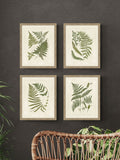 Artko set of four framed prints featuring birch woodland ferns - British product