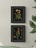 Artko Black Floral Chart HF framed art set of 2 - British product