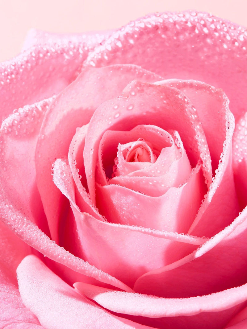Nuxe Very Rose cleansing gel 150ml, imported from the UK