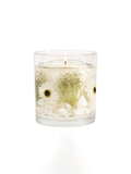 Stoneglow Beach Daisy scented candle 12x10 cm (British brand)