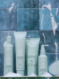 Aveda Scalp Solutions Hair and Scalp Masque 150ml - British product