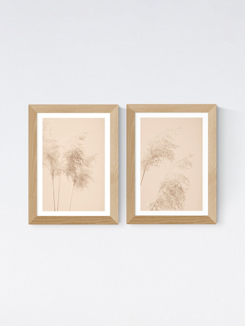 East End Prints oak pampas grass framed art print - British product