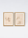 East End Prints oak pampas grass framed art print - British product