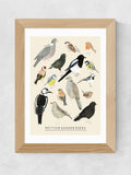East End Prints Oak Garden Birds framed art print - British product