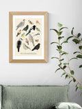 East End Prints Oak Garden Birds Framed Art Print