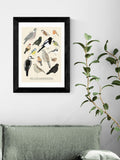 East End Prints Oak Garden Birds Framed Art Print