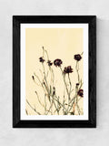 East End Prints Black Palm Leaves II Framed Art Print - British product