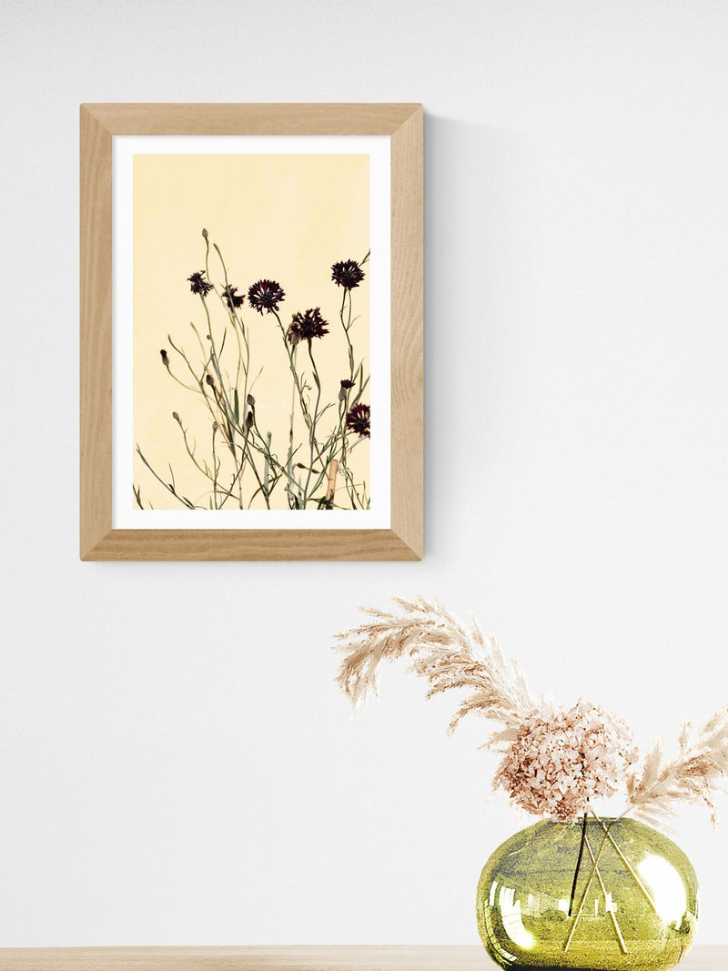 East End Prints soft pink palm leaves framed print, UK version