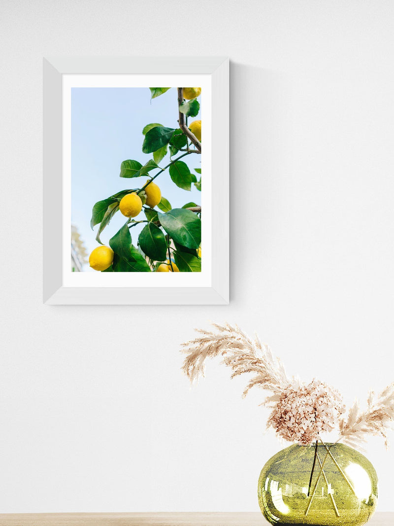 East End Prints White Amalfi Coast Lemons framed art print - British product