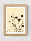 East End Prints Oak Withered Flowers Framed Art Print