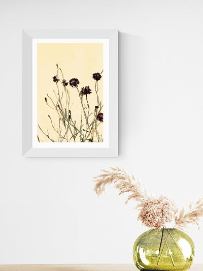 Next East End Prints White Withered Flowers Framed Art Print- Buy online at McGrocer