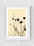 East End Prints white withered flowers framed art print - British product