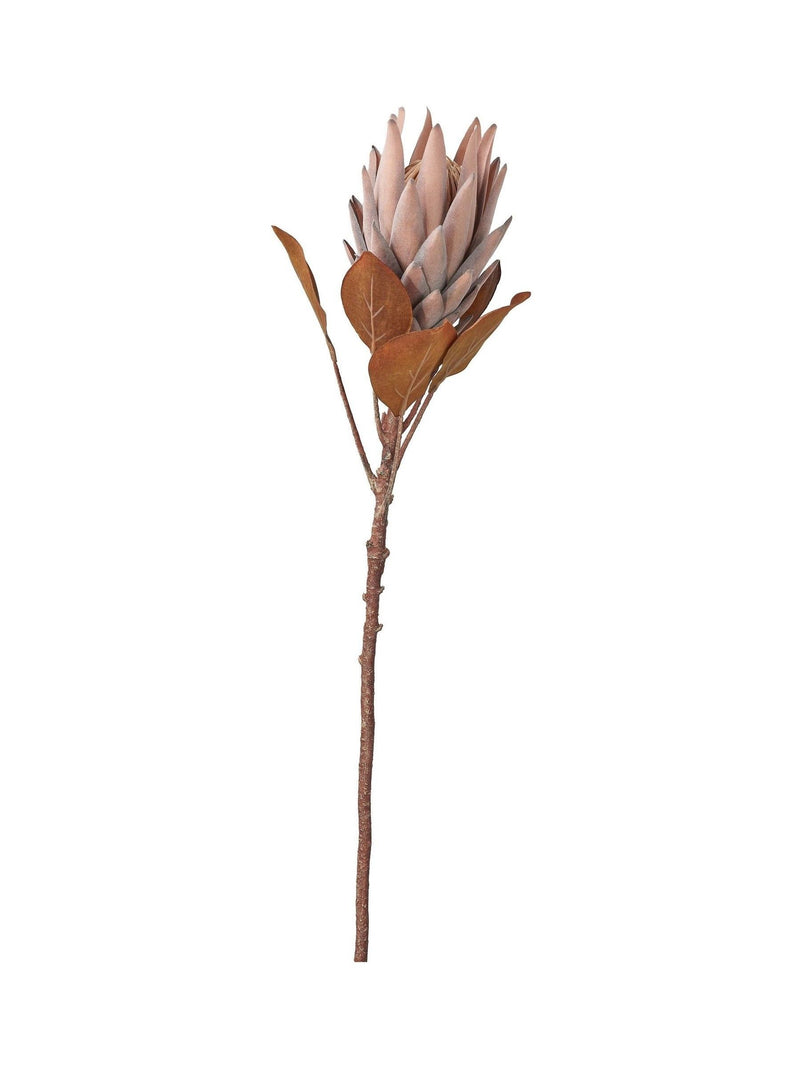 Pacific Lifestyle Mulberry Dried Flower Bunch 109cm, imported from the UK