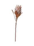 Pacific Lifestyle Mulberry Dried Flower Bunch 109cm, imported from the UK