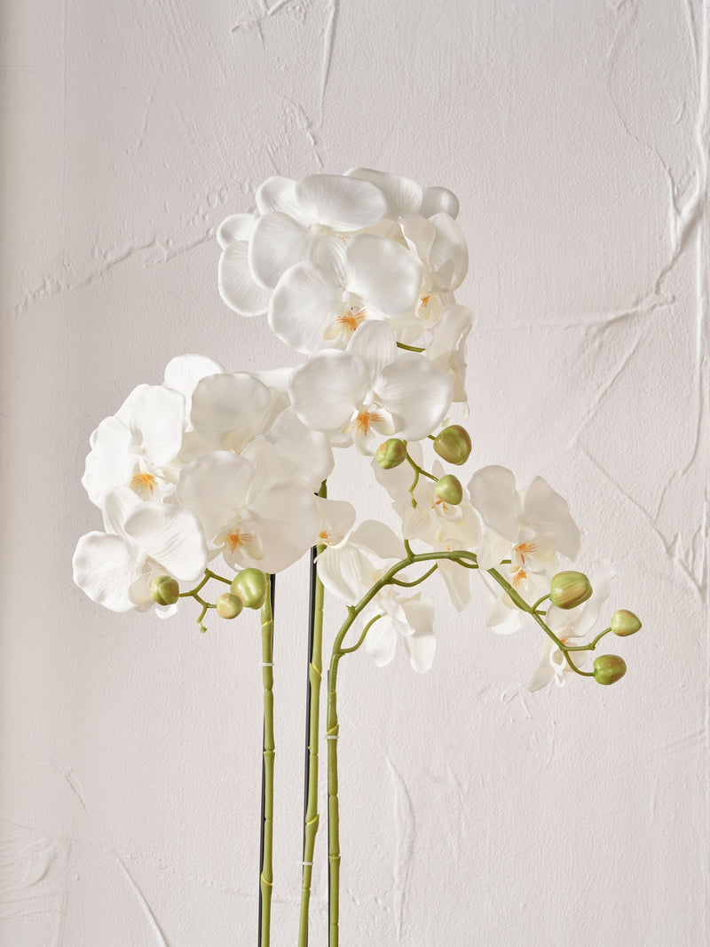 Pacific Lifestyle tall white faux orchid in moss pot, UK version