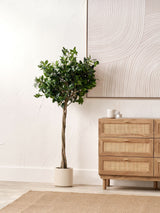 Next Pacific Lifestyle Green Bay Tree Artificial Plant in Pot- Buy online at McGrocer