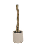 Pacific Lifestyle faux bay tree in pot - British product