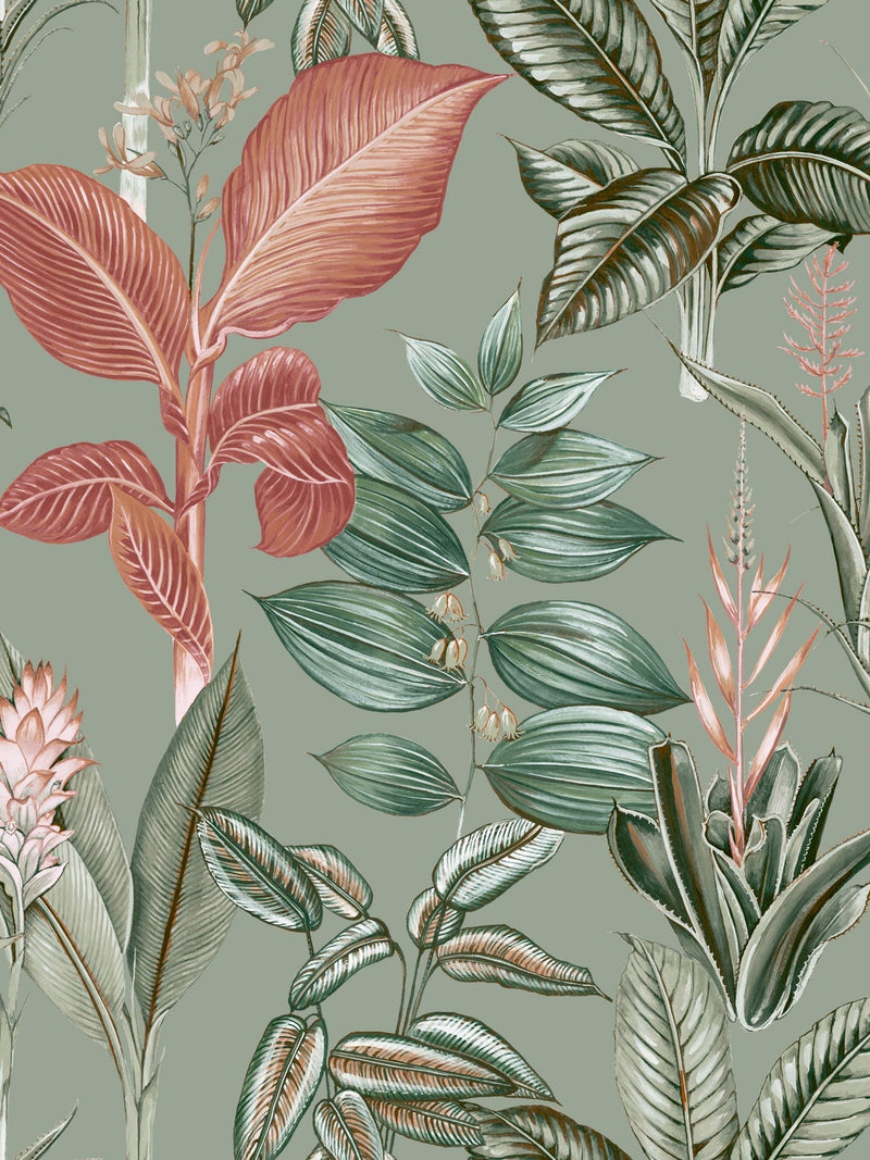 Sage Rainforest Leaves wallpaper sample A4, UK version