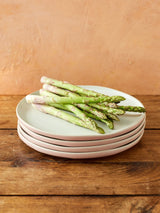 Next Jamie Oliver Pink Big Love Perfect Dinner Plate Set of 4 Stoneware Plates- Buy online at McGrocer