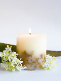 Lower Lodge Cashmere scented botanical candle, imported from the UK