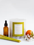 Lower Lodge Candles 1 Wick Lemongrass and Verbena Large Scented Botanical Candle