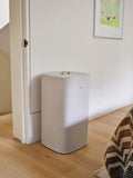 Joseph Joseph Ecru Tota One 60L laundry basket (British brand)
