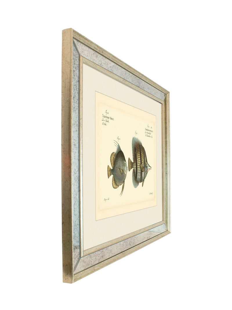 Brookpace antique fish mirror 40x50cm, UK version