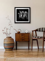 Next Brookpace Lascelles Shades of Grey Gloss Finish Studio Wall Art Frame 61 x 61cm- Buy online at McGrocer