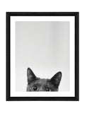 Brookpace Lascelles Peeping Cat Scandi wall art 40x50cm, imported from the UK
