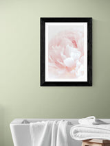 Next East End Prints Black Peony 05 Framed Wall Art Print- Buy online at McGrocer