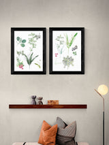 Next Cartissi Set of 2 Black Forest Floor Finds Wall Art Prints- Buy online at McGrocer