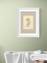 Next Oh Fine! Art East End Prints White Charming Roses Framed Wall Art Print- Buy online at McGrocer